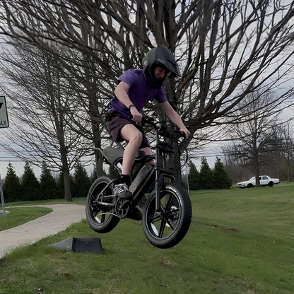 TST R002 Plus - Electric bike - Wheelyshop
