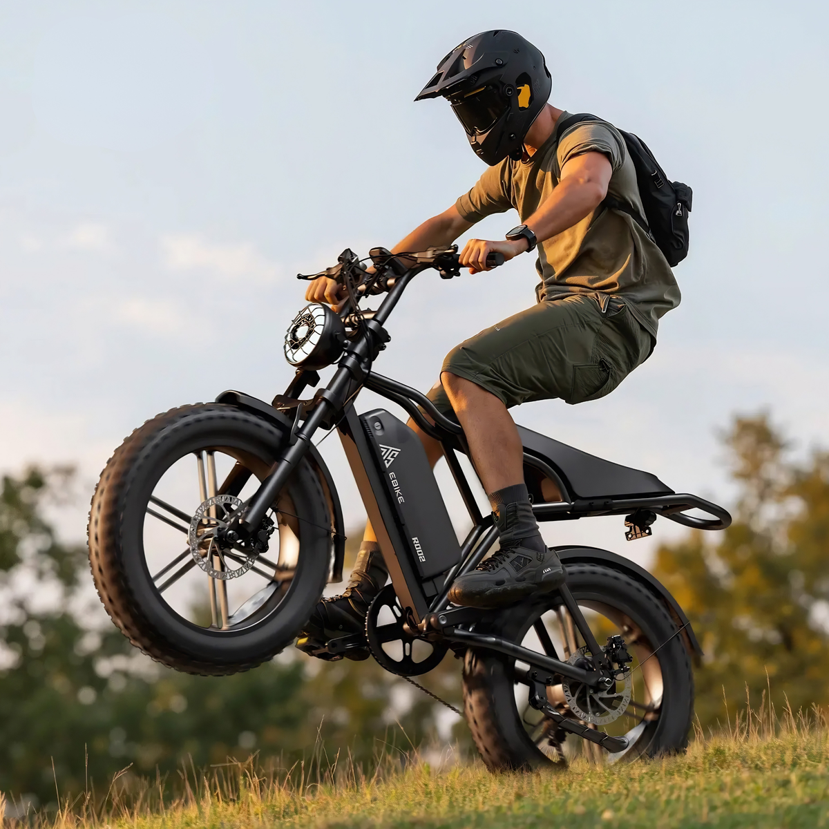 TST R002 Plus - Electric bike - Wheelyshop