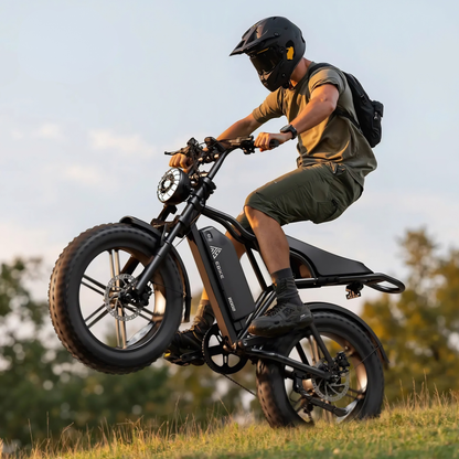 TST R002 Plus - Electric bike - Wheelyshop