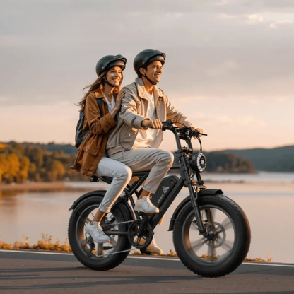 TST R002 Plus - Electric bike - Wheelyshop