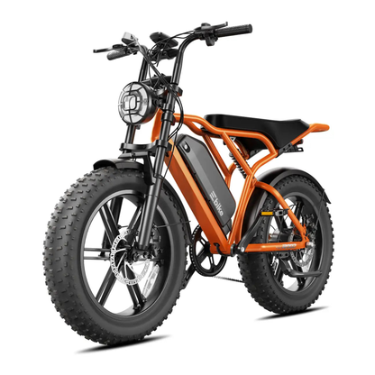 TST R002 Plus - Electric bike - Wheelyshop