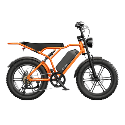 TST R002 Plus - Electric bike - Wheelyshop