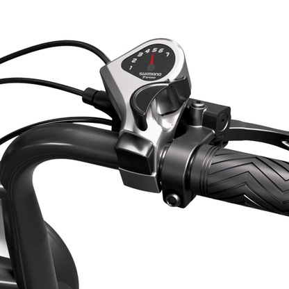 TST R002 Plus - Electric bike - Wheelyshop
