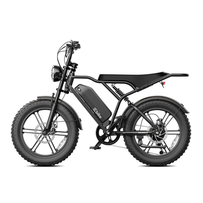 TST R002 Plus - Electric bike - Wheelyshop