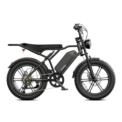 TST R002 Plus - Electric bike - Wheelyshop