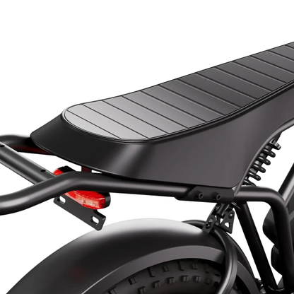 TST R002 Plus - Electric bike - Wheelyshop