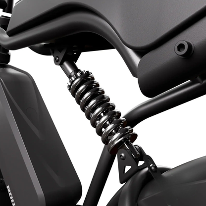 TST R002 Plus - Electric bike - Wheelyshop