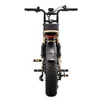 TST R7 fat-tyre e-bike seen from behind in beige
