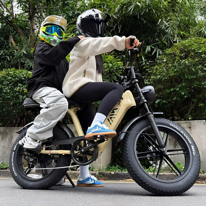 TST R7 - Electric bike - Wheelyshop