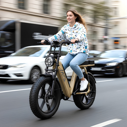 TST R7 - Electric bike - Wheelyshop