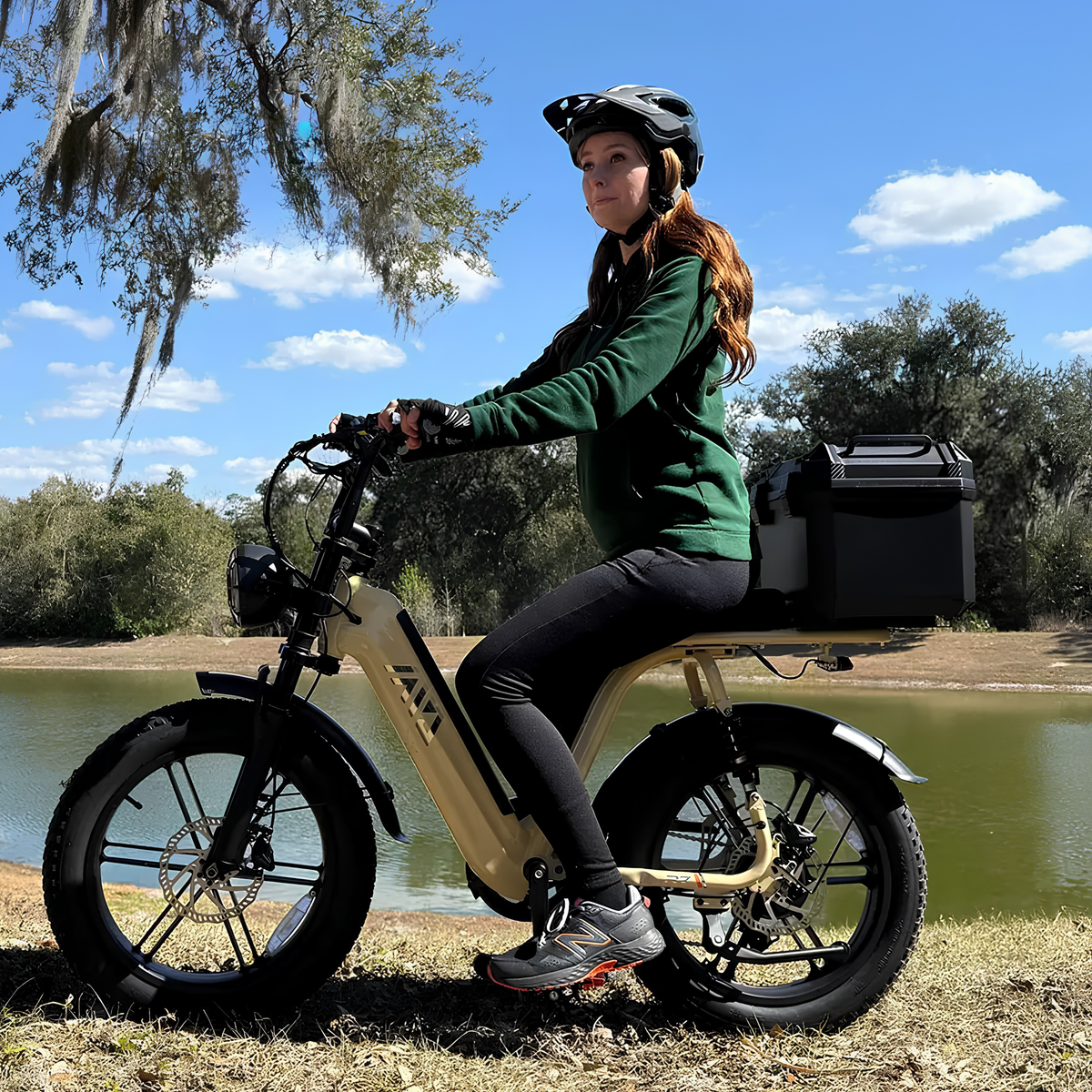 TST R7 - Electric bike - Wheelyshop
