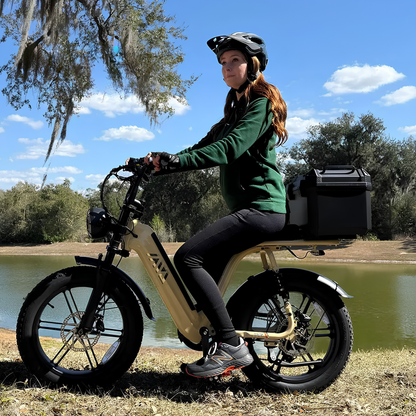 TST R7 - Electric bike - Wheelyshop