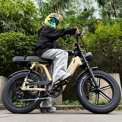 TST R7 - Electric bike - Wheelyshop