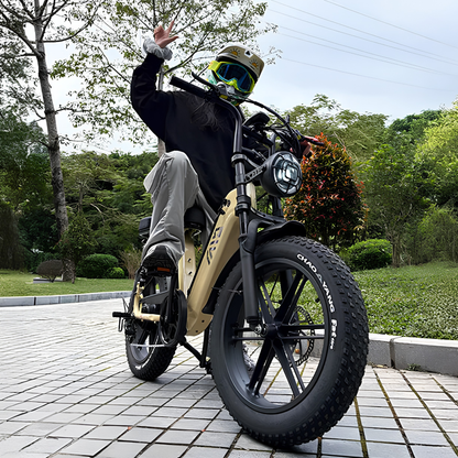 TST R7 - Electric bike - Wheelyshop
