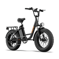 URLIFE E20 Pro, black e-bike seen from a front angle with headlight, rear rack and fat tyre