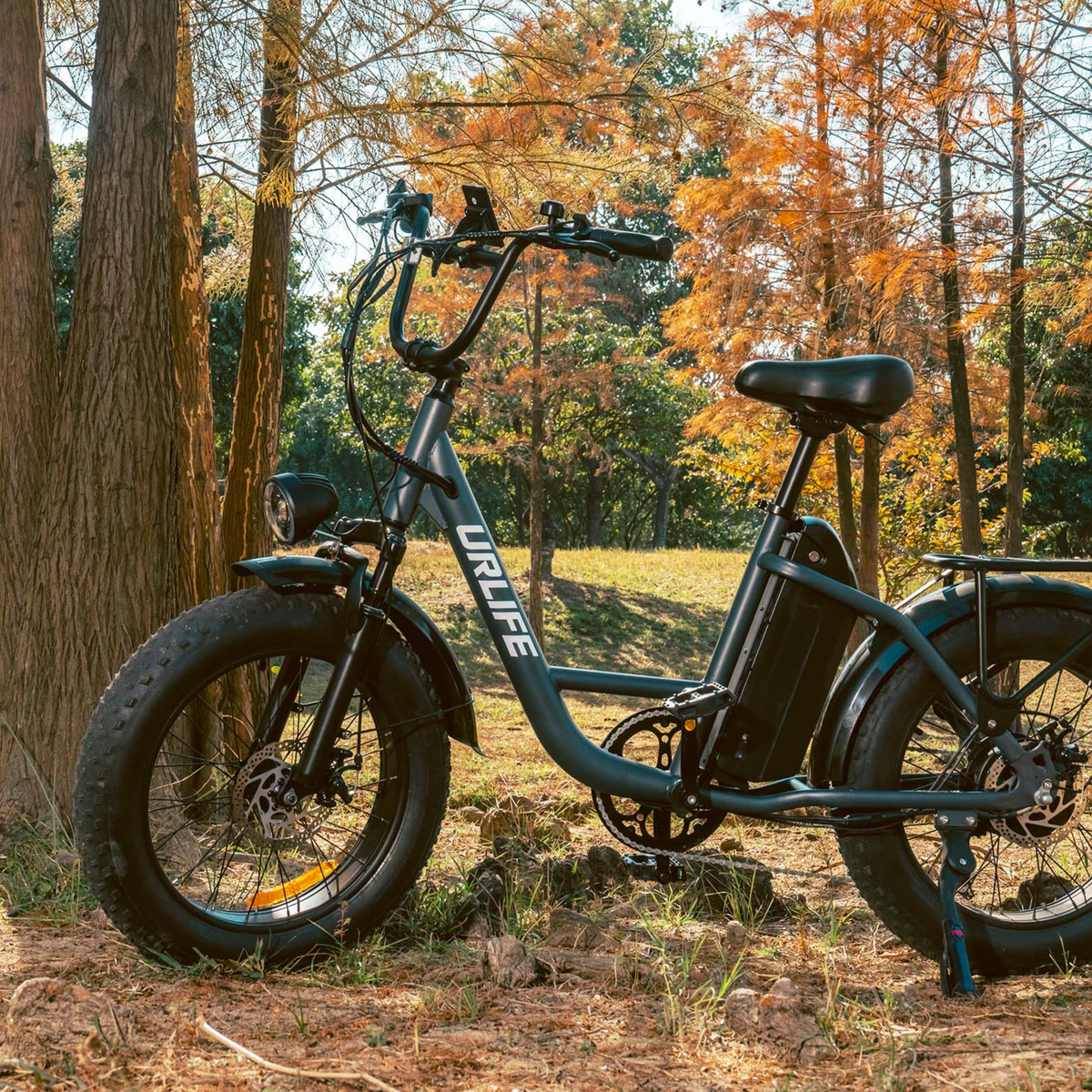 URLIFE E20 Pro - Electric bike - Wheelyshop