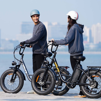 URLIFE E20 Pro - Electric bike - Wheelyshop