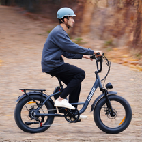 URLIFE E20 Pro - Electric bike - Wheelyshop