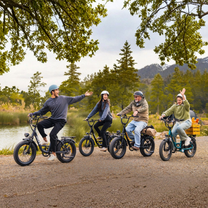 URLIFE E20 Pro electric bike with IP54 rating – Wheelyshop