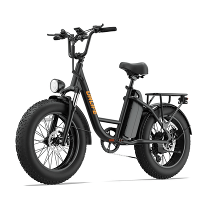 URLIFE E20 Pro, black e-bike with fat tyres and an orange logo, seen from a front angle