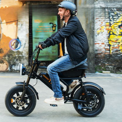 URLIFE T16 - Electric bike - Wheelyshop