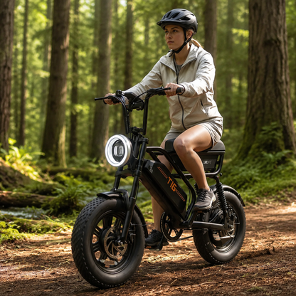 URLIFE T16 - Electric bike - Wheelyshop