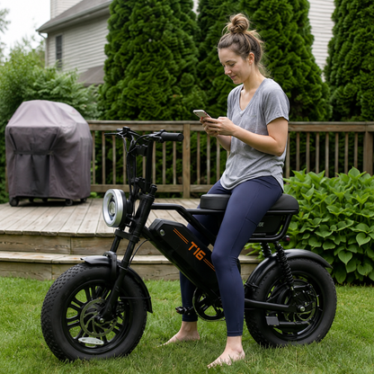 URLIFE T16 - Electric bike - Wheelyshop