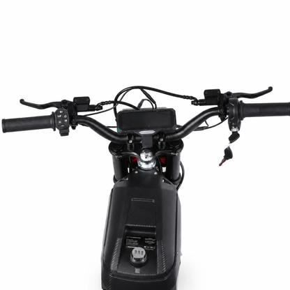 Wheely - Y10 seen from above with handlebars, display, brake levers, key and black fairing