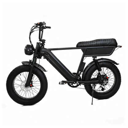 YANGOR Y20 Plus