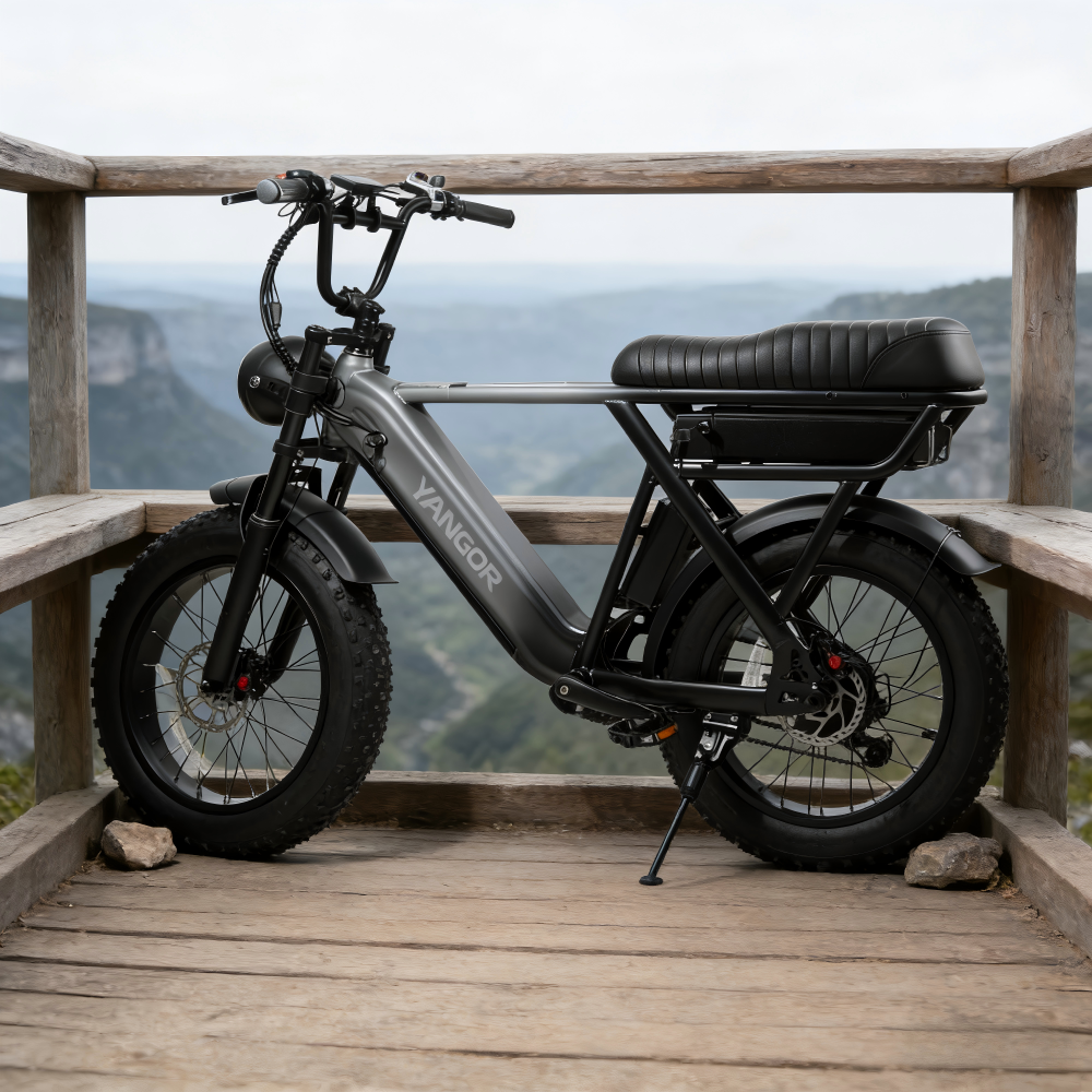 YANGOR Y20 Pro