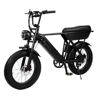 YANGOR Y20