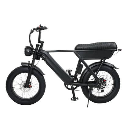 YANGOR Y20