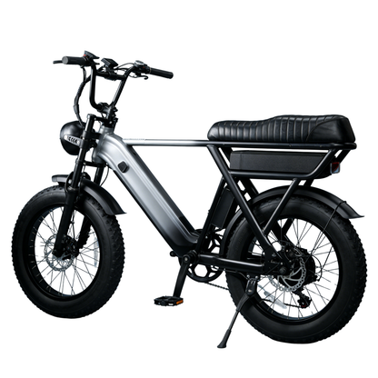 YANGOR Y20