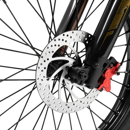ZONVEER ZX3 - Electric bike - Wheelyshop