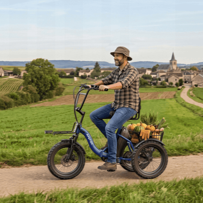 APEFOX RH30 - Electric tricycle - Wheelyshop