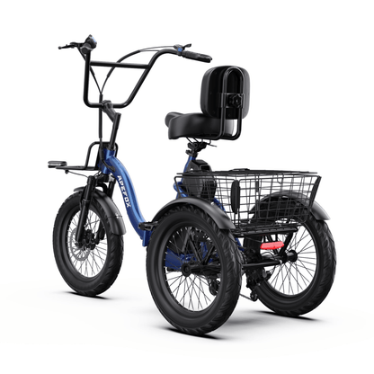 APEFOX RH30 - Electric tricycle - Wheelyshop