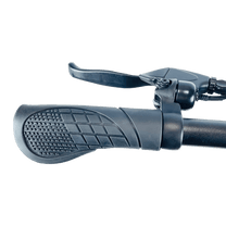 DriveTron DT01 handlebar grip and controls