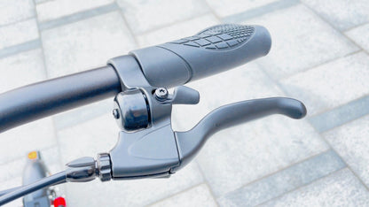 DriveTron DT08 (36V 10Ah) - Patinete eléctrico - Tienda de ruedas