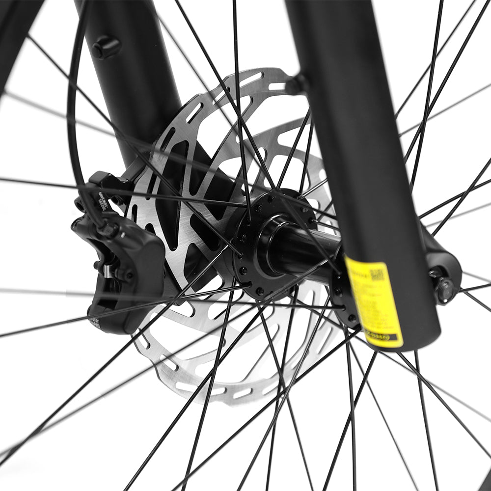 Duotts E26 disc brake