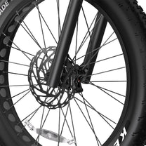 Duotts E26 disc brake