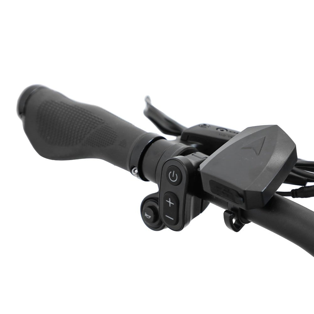 Duotts E26 handlebar grip and controls