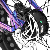 Duotts E26 disc brake