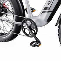 Duotts F26 Lite cranks and pedals
