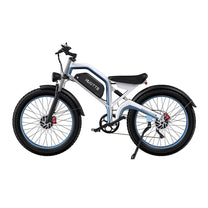 Duotts N26 fat-tyre e-bike seen from the side in grey
