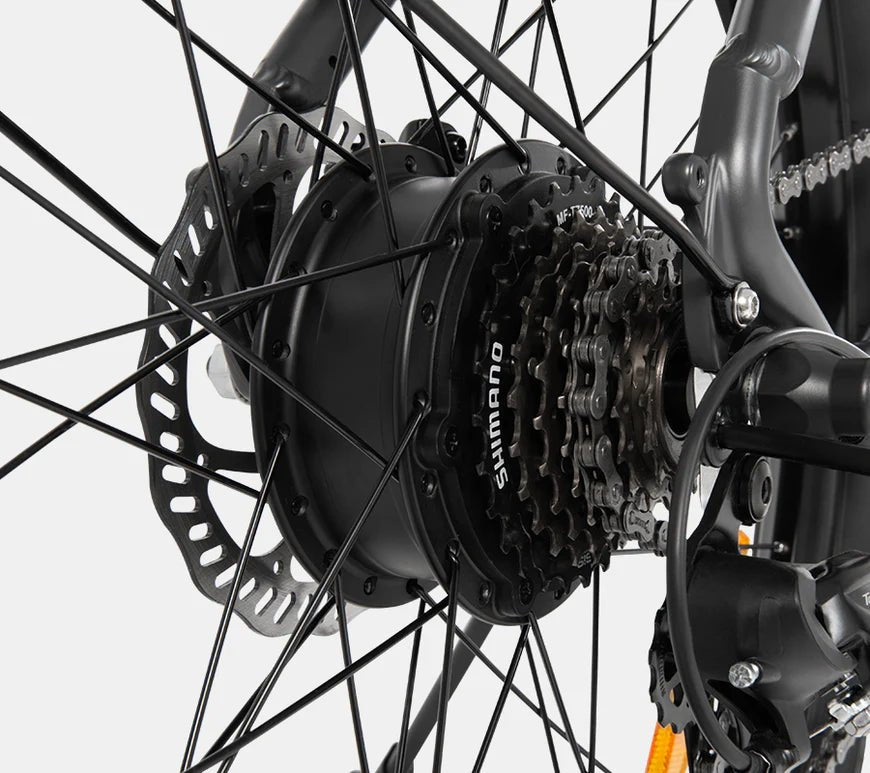 DYU C1 - Bicicleta eléctrica - Tienda de ruedas