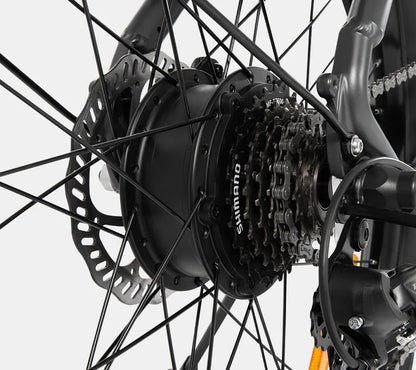 DYU C1 - Bicicleta eléctrica - Tienda de ruedas