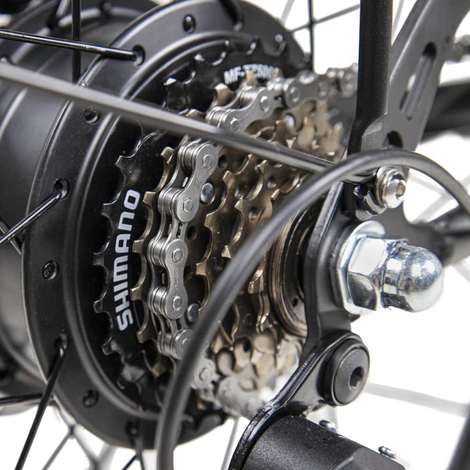 DYU C6 - Bicicleta eléctrica - Tienda de ruedas