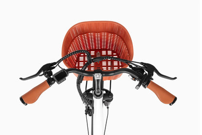 DYU C6 Pro - Bicicleta eléctrica - Tienda de ruedas