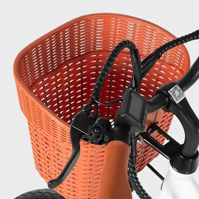 DYU C6 Pro - Bicicleta eléctrica - Tienda de ruedas