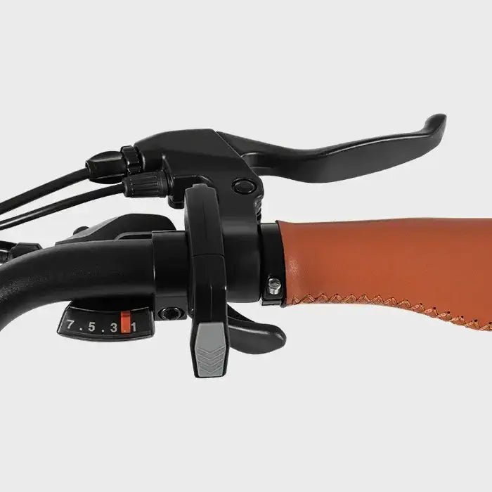 DYU C6 Pro - Bicicleta eléctrica - Tienda de ruedas